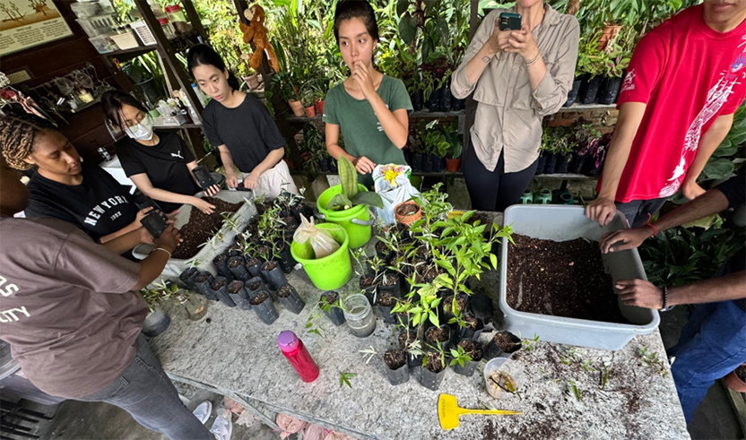 APU 3 (Tree planting Mission)