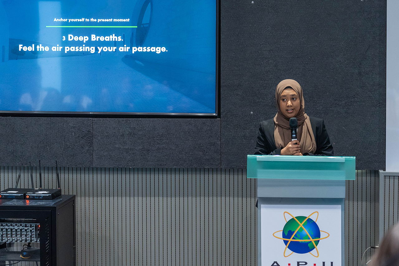 APU-6-(Art-of-Impact)