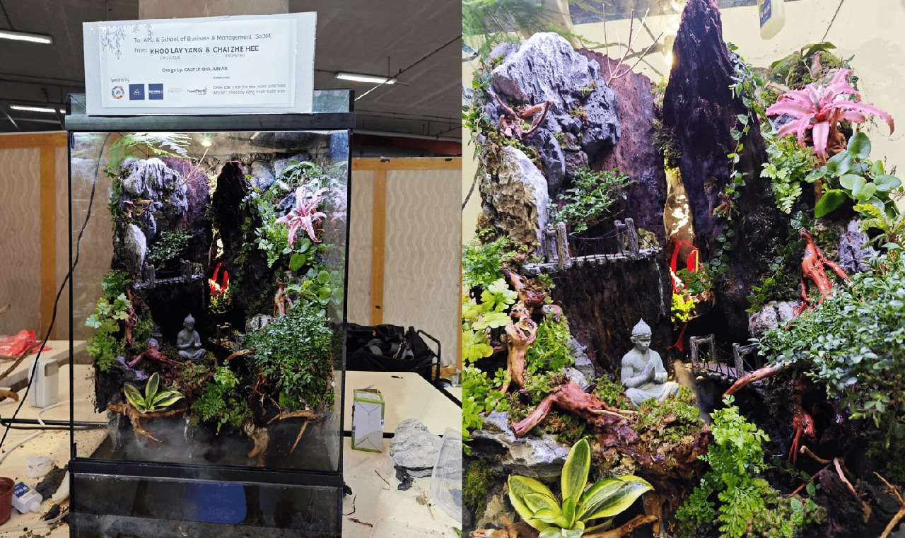 apu-1-world-enviroment-day-202