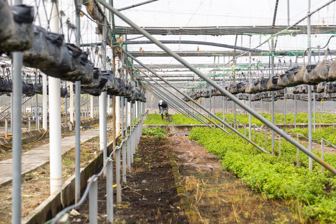 APU_EUSAT APU 2025_05