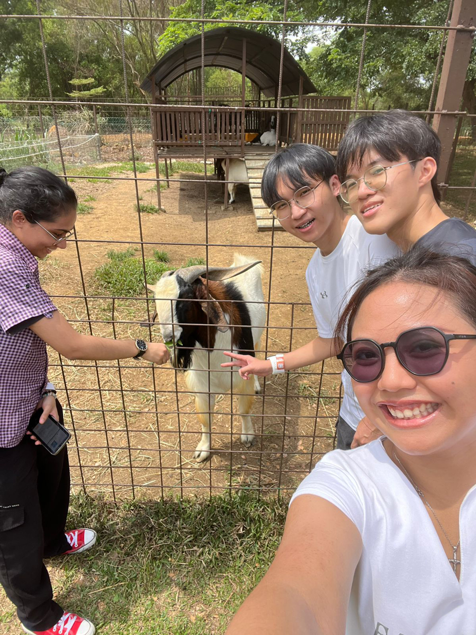 APU_Farm_07