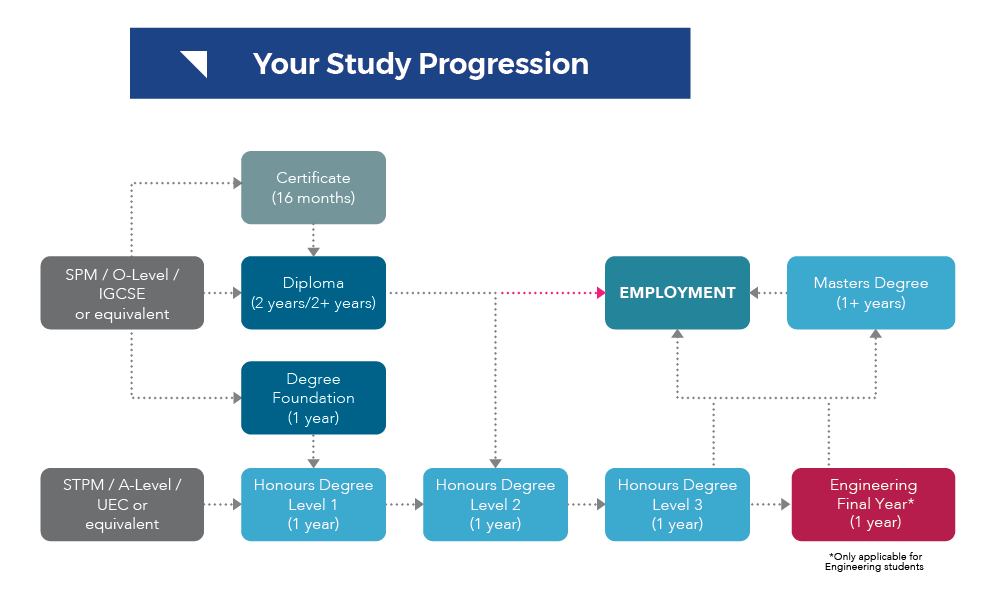 Your study progression
