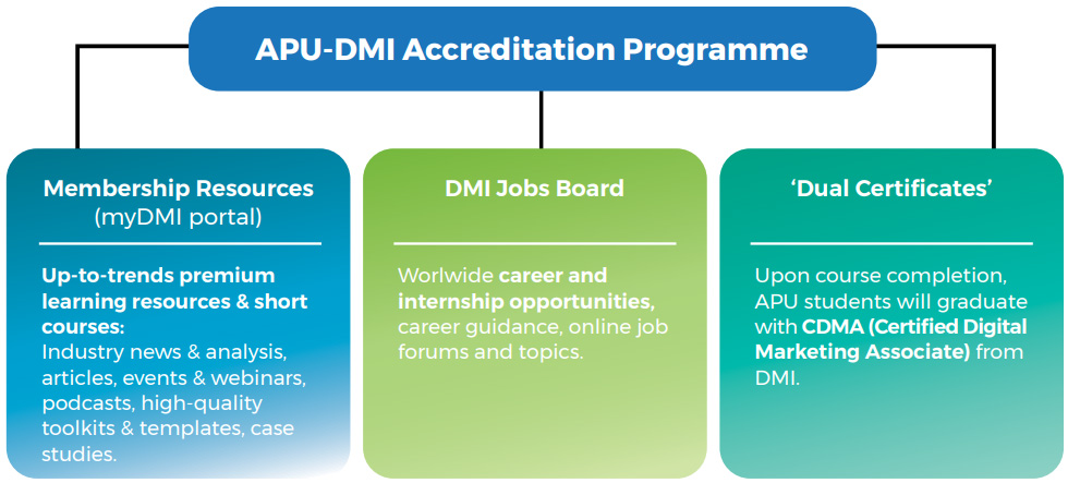 apu_dmi_diagram1