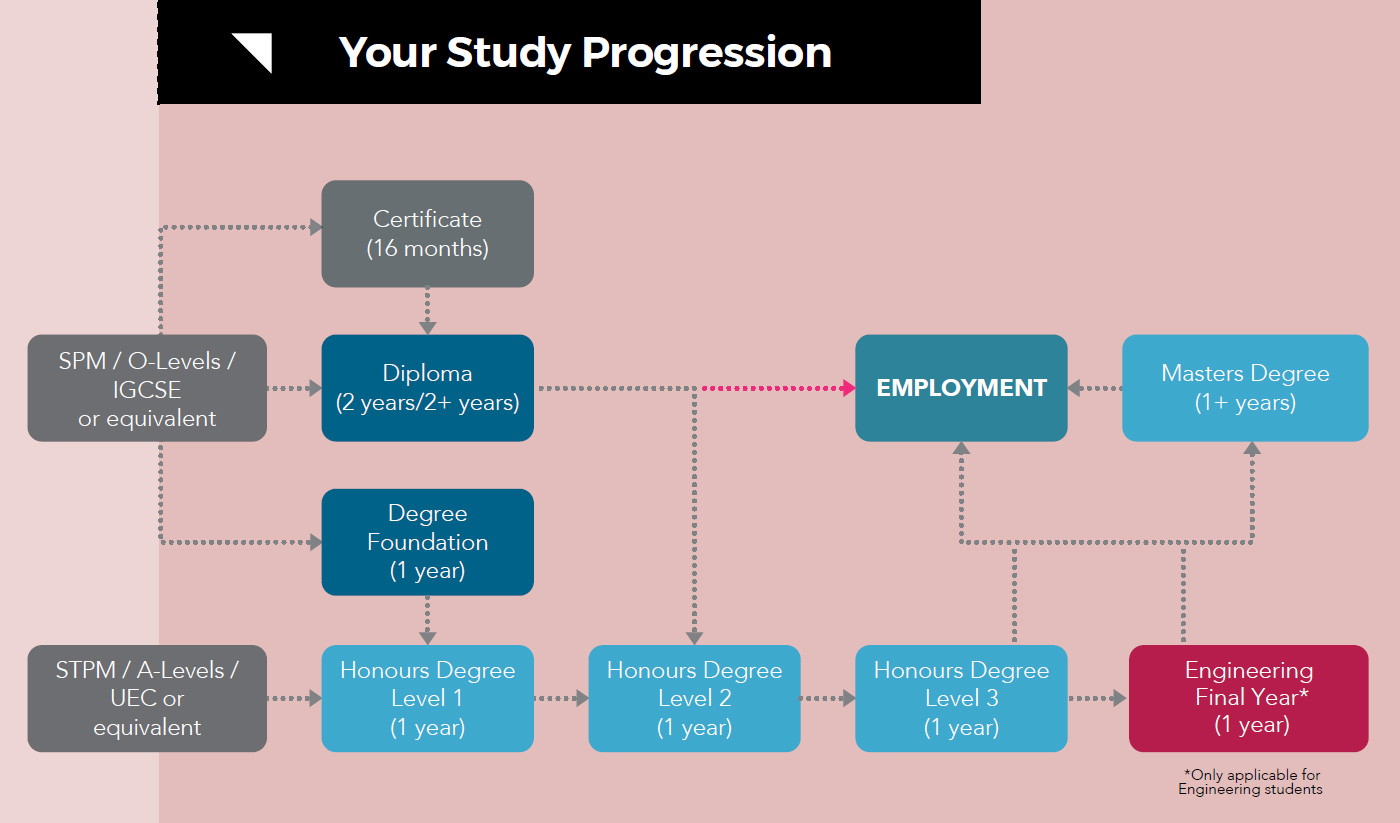 Your Study Progression